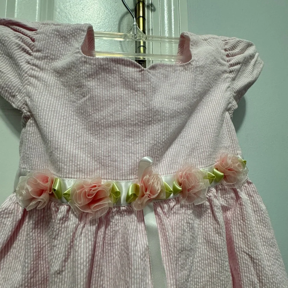 Jona Michelle size 2T dress